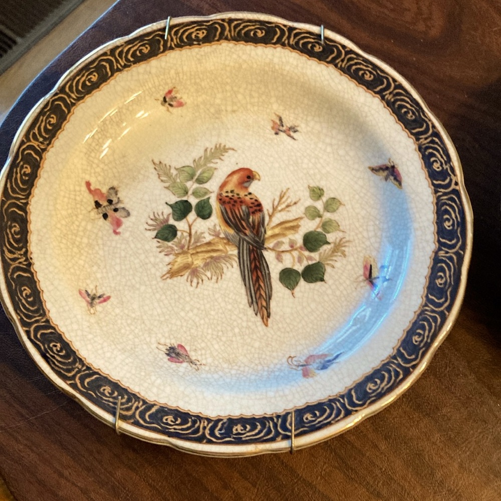 Decorative porcelain parrots plates